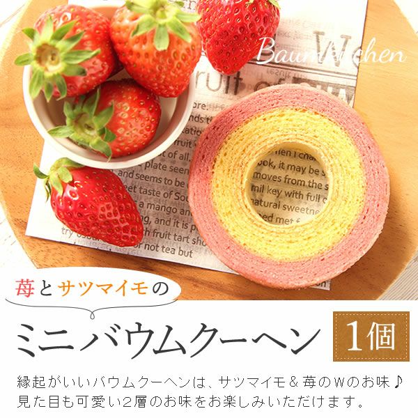 ALT 自転車クマさん（カーネーション）＆スイーツセット 母の日 プレゼント 花 ギフト カーネーション ケイトウ 花鉢 鉢花 鉢植え アニマル 犬 猫 ネコ ねこ クマ くま バウムクーヘン いちご 苺 イチゴ 送料無料 スイーツ お菓子 洋菓子 ギフトセット おいもや