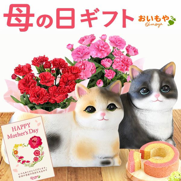 おすましキャット＆バウムクーヘンセット 母の日 プレゼント 花 ギフト カーネーション ケイトウ 花鉢 鉢花 鉢植え アニマル 犬 猫 ネコ ねこ クマ くま バウムクーヘン いちご 苺 イチゴ 送料無料 スイーツ お菓子 洋菓子 ギフトセット おいもや