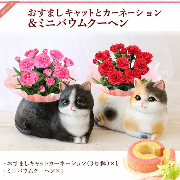おすましキャット＆バウムクーヘンセット 母の日 プレゼント 花 ギフト カーネーション ケイトウ 花鉢 鉢花 鉢植え アニマル 犬 猫 ネコ ねこ クマ くま バウムクーヘン いちご 苺 イチゴ 送料無料 スイーツ お菓子 洋菓子 ギフトセット おいもや