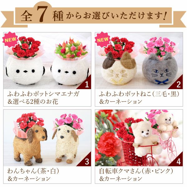おすましキャット＆バウムクーヘンセット 母の日 プレゼント 花 ギフト カーネーション ケイトウ 花鉢 鉢花 鉢植え アニマル 犬 猫 ネコ ねこ クマ くま バウムクーヘン いちご 苺 イチゴ 送料無料 スイーツ お菓子 洋菓子 ギフトセット おいもや