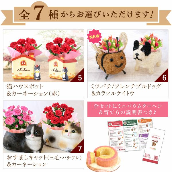 おすましキャット＆バウムクーヘンセット 母の日 プレゼント 花 ギフト カーネーション ケイトウ 花鉢 鉢花 鉢植え アニマル 犬 猫 ネコ ねこ クマ くま バウムクーヘン いちご 苺 イチゴ 送料無料 スイーツ お菓子 洋菓子 ギフトセット おいもや