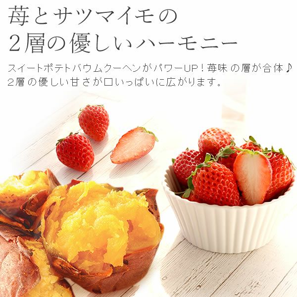 おすましキャット＆バウムクーヘンセット 母の日 プレゼント 花 ギフト カーネーション ケイトウ 花鉢 鉢花 鉢植え アニマル 犬 猫 ネコ ねこ クマ くま バウムクーヘン いちご 苺 イチゴ 送料無料 スイーツ お菓子 洋菓子 ギフトセット おいもや