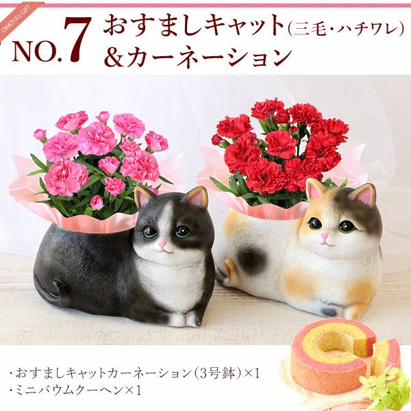 おすましキャット＆バウムクーヘンセット 母の日 プレゼント 花 ギフト カーネーション ケイトウ 花鉢 鉢花 鉢植え アニマル 犬 猫 ネコ ねこ クマ くま バウムクーヘン いちご 苺 イチゴ 送料無料 スイーツ お菓子 洋菓子 ギフトセット おいもや