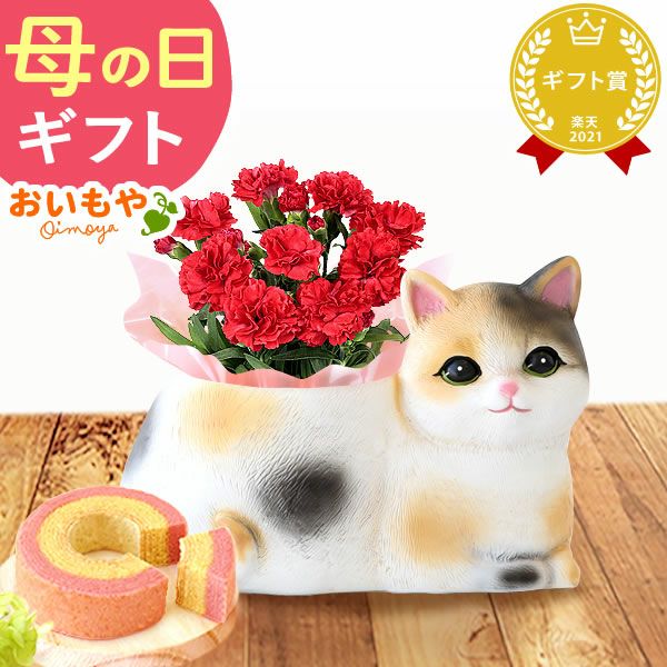 おすましキャット＆バウムクーヘンセット 母の日 プレゼント 花 ギフト カーネーション ケイトウ 花鉢 鉢花 鉢植え アニマル 犬 猫 ネコ ねこ クマ くま バウムクーヘン いちご 苺 イチゴ 送料無料 スイーツ お菓子 洋菓子 ギフトセット おいもや