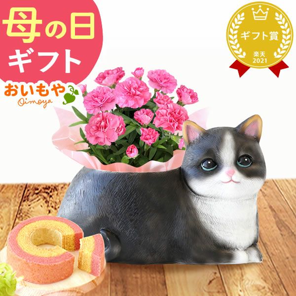 おすましキャット＆バウムクーヘンセット 母の日 プレゼント 花 ギフト カーネーション ケイトウ 花鉢 鉢花 鉢植え アニマル 犬 猫 ネコ ねこ クマ くま バウムクーヘン いちご 苺 イチゴ 送料無料 スイーツ お菓子 洋菓子 ギフトセット おいもや