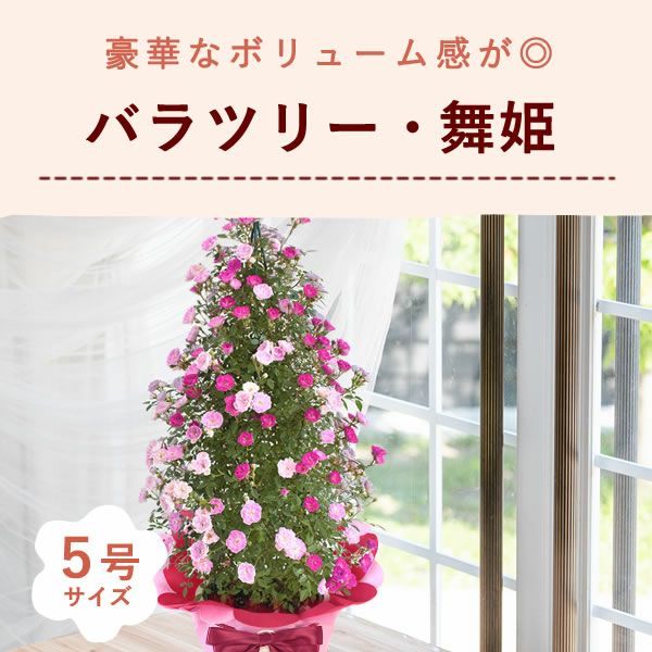 バラツリー 舞姫 母の日 プレゼント 花 生花 ギフト 花鉢 鉢花 鉢植え バラ 薔薇 ばら 送料無料 スイーツ お菓子 洋菓子 ギフトセット おいもや