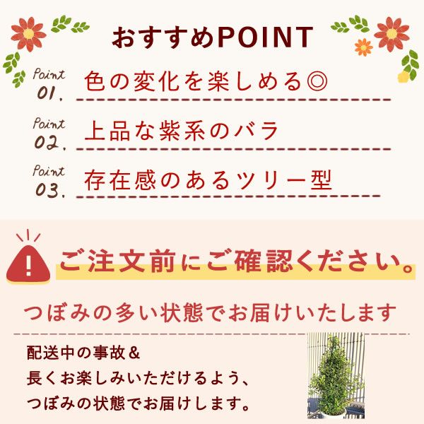 バラツリー 舞姫 母の日 プレゼント 花 生花 ギフト 花鉢 鉢花 鉢植え バラ 薔薇 ばら 送料無料 スイーツ お菓子 洋菓子 ギフトセット おいもや