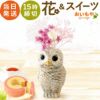 母の日 プレゼント 花 ギフト 動物 アニマル グッズ アニマル キャラクター かわいい おしゃれ インテリア 雑貨 ドライフラワー 一輪挿し 花瓶 フラワーベース ペン立て 実用的 玄関 置物 送料無料 スイーツ お菓子 洋菓子 ギフトセット おいもや