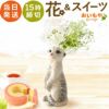 母の日 プレゼント 花 ギフト 動物 アニマル グッズ アニマル キャラクター かわいい おしゃれ インテリア 雑貨 ドライフラワー 一輪挿し 花瓶 フラワーベース ペン立て 実用的 玄関 置物 送料無料 スイーツ お菓子 洋菓子 ギフトセット おいもや