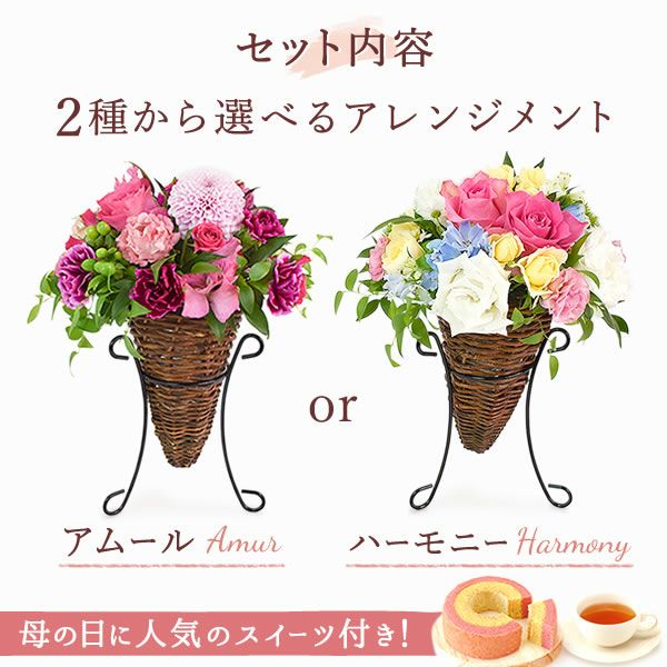2種から選べるノーブルアレンジ 母の日 プレゼント 花 生花 ギフト フラワーアレンジメント カーネーション 薔薇 おしゃれ 豪華 バウムクーヘン トルコキキョウ フラワーアレンジメント フラワーギフト 送料無料 スイーツ お菓子 洋菓子 ギフトセット おいもや