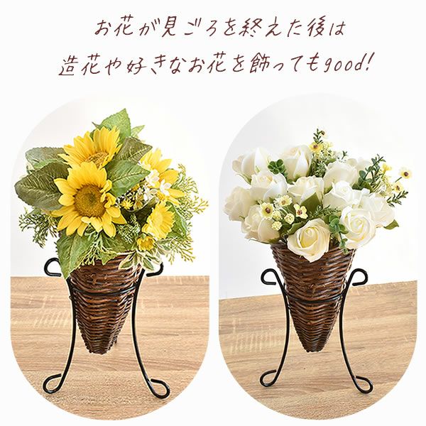 2種から選べるノーブルアレンジ 母の日 プレゼント 花 生花 ギフト フラワーアレンジメント カーネーション 薔薇 おしゃれ 豪華 バウムクーヘン トルコキキョウ フラワーアレンジメント フラワーギフト 送料無料 スイーツ お菓子 洋菓子 ギフトセット おいもや