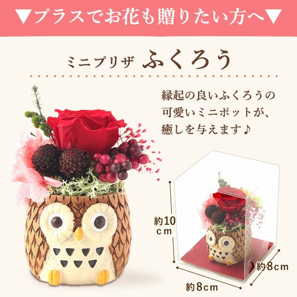 大福食べ比べアソート (6個)プリザーブドフラワー付き 母の日 プレゼント 花 ギフト 大福 お取り寄せ プリザーブドフラワー だいふく 大福もち 冷凍 6種 個包装 食べ比べ フルーツ 詰め合わせ クリーム大福 花以外 送料無料 スイーツ お菓子 和菓子 食べ物 ギフトセット おいもや