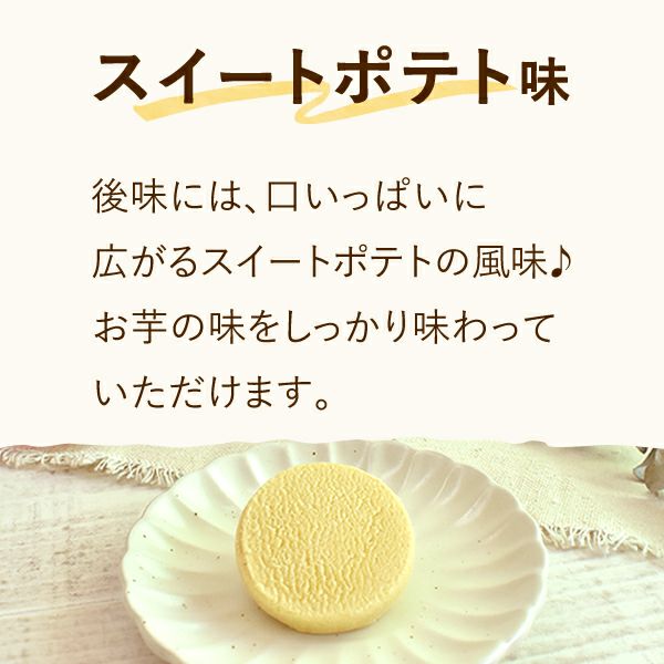 くちどけ生チョコクッキー (6枚) 【ギフト プレゼント スイーツ お菓子 洋菓子 クッキー チョコレート チョコ お祝い 誕生日 お礼 内祝い お見舞い お世話になりました お供え 産休 転勤 結婚式 送別会 お配り プチギフト おしゃれ 可愛い かわいい】 バレンタイン