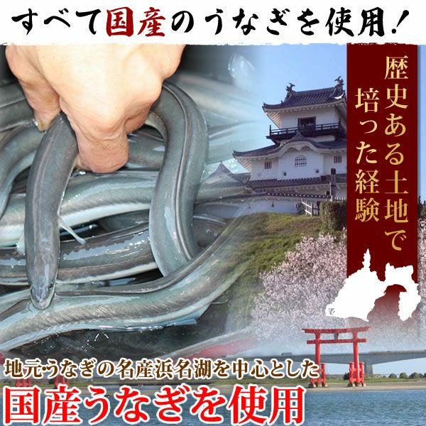 うなぎの蒲焼き（こぶり20枚）＆どら焼きセット【簡易箱】 土用の丑 誕生日プレゼント お祝い お礼 退職祝い お供え 手土産 お返し ギフト お菓子 和菓子 スイーツ 送料無料 うなぎ 国産 鰻 蒲焼き 国産うなぎ 真空パック かば焼き 帰省土産 お中元 御中元 父の日 おいもや