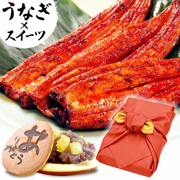 うなぎの蒲焼き（特大長3本+カット5枚）＆どら焼きセット【簡易箱】 土用の丑 誕生日プレゼント お祝い お礼 退職祝い お供え 手土産 お返し ギフト お菓子 和菓子 スイーツ 送料無料 うなぎ 国産 鰻 蒲焼き 国産うなぎ 真空パック かば焼き 帰省土産 お中元 御中元 父の日 おいもや
