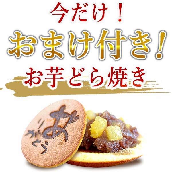 うなぎの蒲焼き（こぶり10枚）＆どら焼きセット【簡易箱】 土用の丑 誕生日プレゼント お祝い お礼 退職祝い お供え 手土産 お返し ギフト お菓子 和菓子 スイーツ 送料無料 うなぎ 国産 鰻 蒲焼き 国産うなぎ 真空パック かば焼き 帰省土産 お中元 御中元 父の日 おいもや
