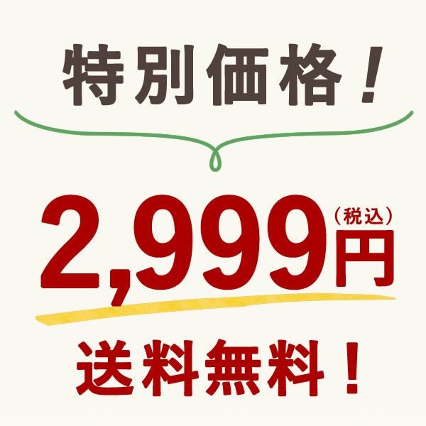 【本店サイト限定】おいもや本店お芋スイーツバラエティ福袋2999 人気お芋スイーツを詰め込んだ、おいもや特製バラエティセット！