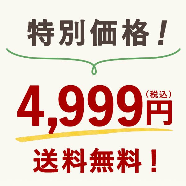 【2025年夏限定】おいもや本店お芋スイーツバラエティ福袋4999 人気お芋スイーツを詰め込んだ、おいもや特製バラエティセット！