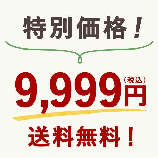 【本店サイト限定】おいもや本店お芋スイーツバラエティ福袋9999 人気お芋スイーツを詰め込んだ、おいもや特製バラエティセット！