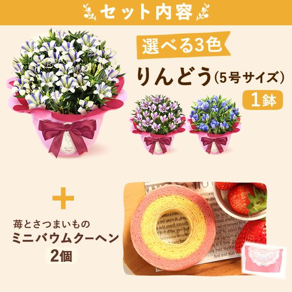 りんどう 5号 敬老の日 プレゼント ギフト 花 りんどう 竜胆 リンドウ 生花 花鉢 孫 秋 送料無料 メッセージカード おいもや