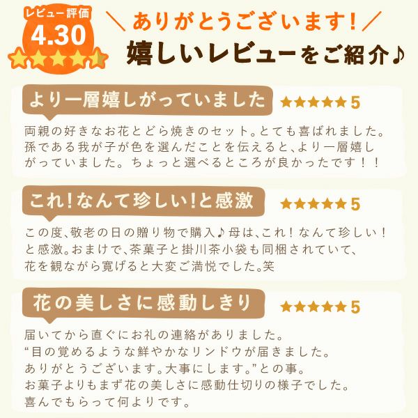 りんどう 5号 敬老の日 プレゼント ギフト 花 りんどう 竜胆 リンドウ 生花 花鉢 孫 秋 送料無料 メッセージカード おいもや