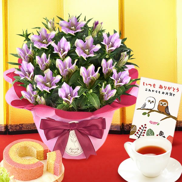 りんどう 5号 敬老の日 プレゼント ギフト 花 りんどう 竜胆 リンドウ 生花 花鉢 孫 秋 送料無料 メッセージカード おいもや