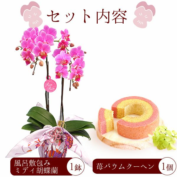 風呂敷包みミディ胡蝶蘭とバウムクーヘンセット 敬老の日 プレゼント ギフト 花 胡蝶蘭 コチョウラン ミディ フラワーギフト 蘭 鉢植え 花鉢 鉢花 花とスイーツ バウムクーヘン 送料無料 スイーツ お菓子 洋菓子 メッセージカード おいもや