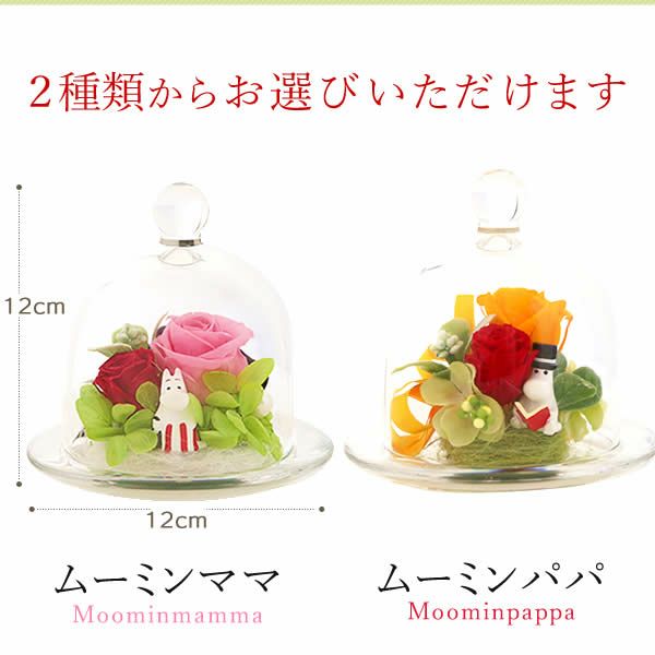 ムーミン ドリームプラザ＋バウムクーヘンセット 敬老の日 プレゼント ギフト 花 プリザーブドフラワー ムーミン グッズ 珍しい 送料無料 スイーツ お菓子 洋菓子 メッセージカード おいもや