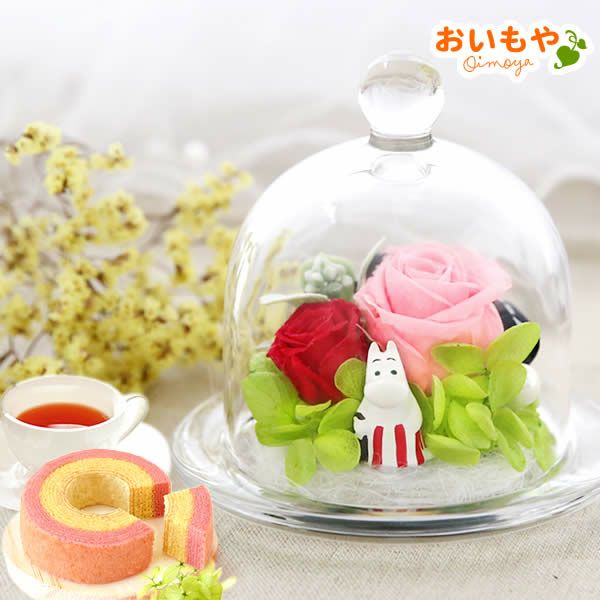 ムーミン ドリームプラザ＋バウムクーヘンセット 敬老の日 プレゼント ギフト 花 プリザーブドフラワー ムーミン グッズ 珍しい 送料無料 スイーツ お菓子 洋菓子 メッセージカード おいもや