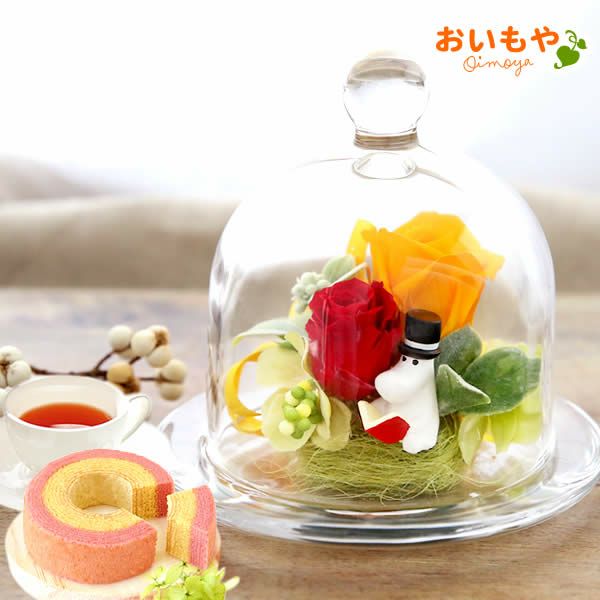 ムーミン ドリームプラザ＋バウムクーヘンセット 敬老の日 プレゼント ギフト 花 プリザーブドフラワー ムーミン グッズ 珍しい 送料無料 スイーツ お菓子 洋菓子 メッセージカード おいもや