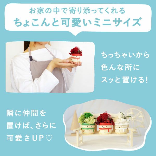 選べる雪だるまミニプリザーブドフラワー＆苺のミニバウムセット