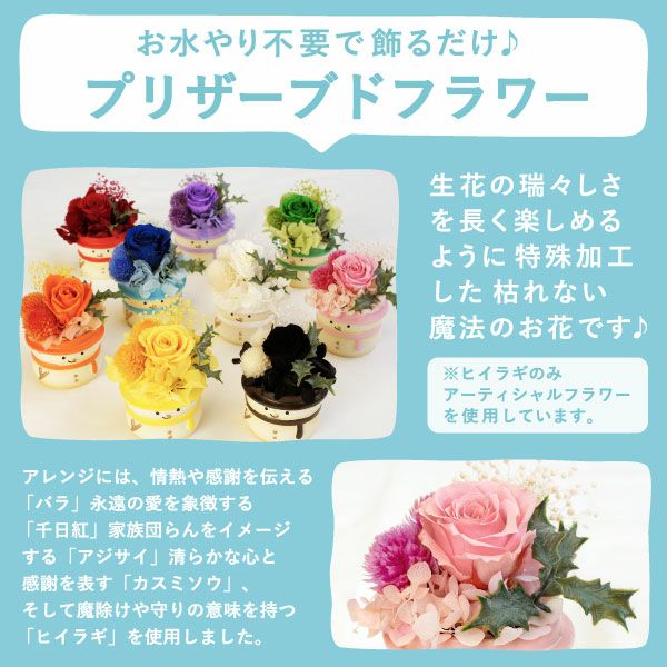 選べる雪だるまミニプリザーブドフラワー＆苺のミニバウムセット
