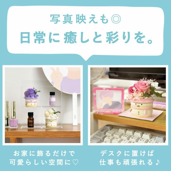 選べる雪だるまミニプリザーブドフラワー＆苺のミニバウムセット