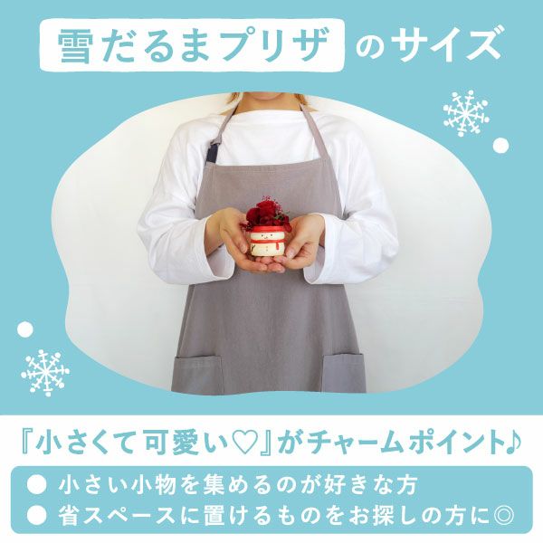 選べる雪だるまミニプリザーブドフラワー＆苺のミニバウムセット