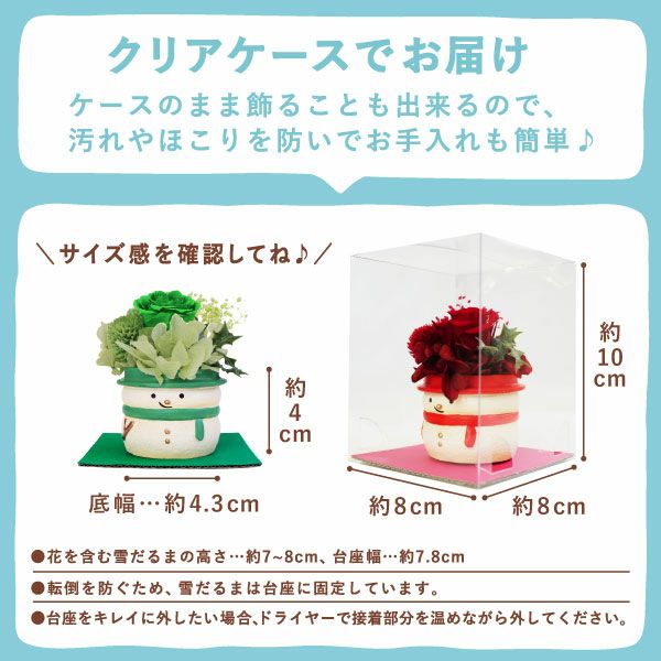 選べる雪だるまミニプリザーブドフラワー＆苺のミニバウムセット