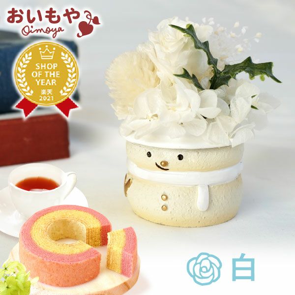選べる雪だるまミニプリザーブドフラワー＆苺のミニバウムセット
